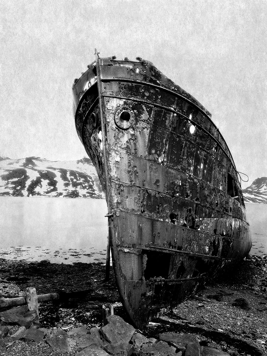 Le Murmure des Égarés — Aurélia Frey